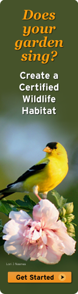 Create a Certified Wildlife Habitat today!